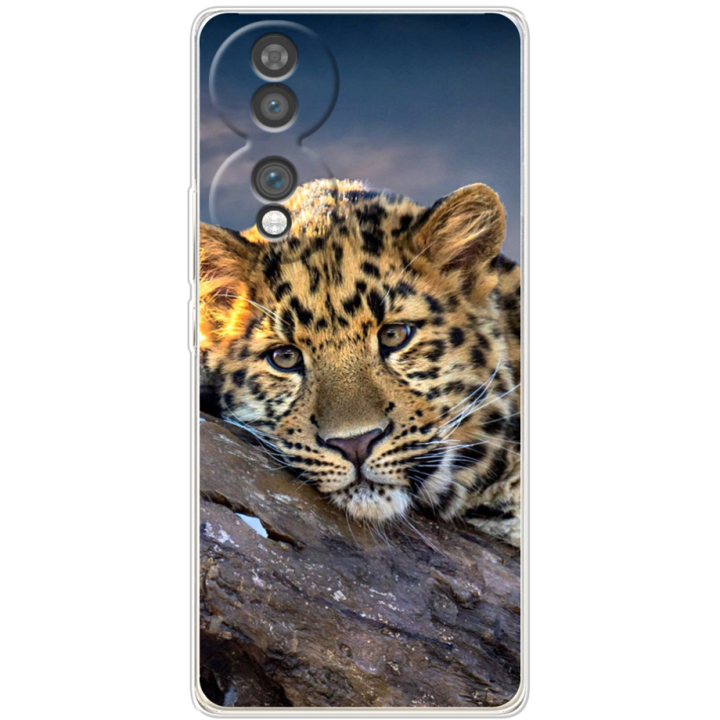 Чохол BoxFace Honor 70 