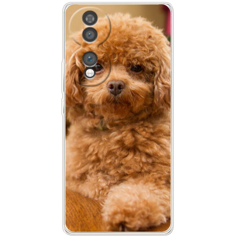 Чохол BoxFace Honor 70 