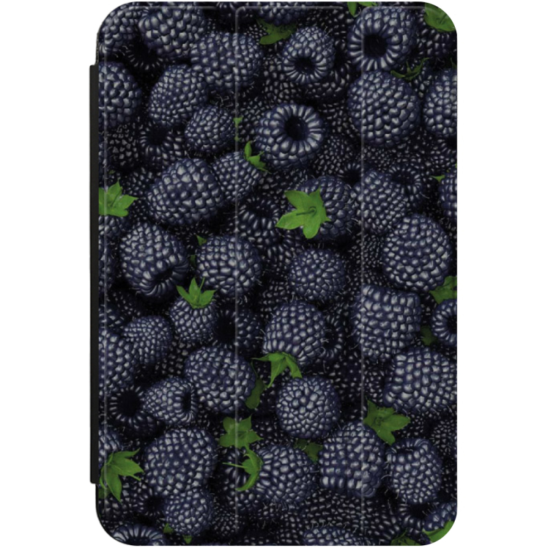 Чохол для iPad mini 7 (2024) Ожина