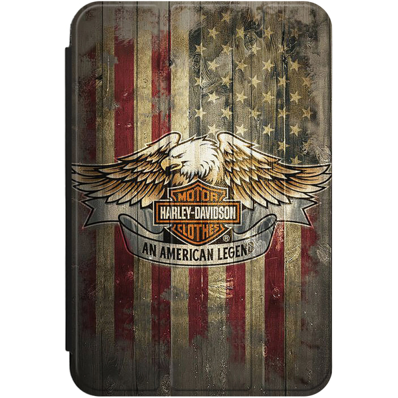 Чохол для iPad mini 7 (2024) Легенда на Крилах Свободи