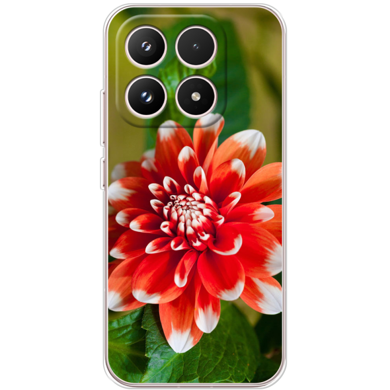 Чохол BoxFace Xiaomi 17 