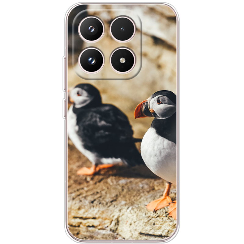 Чохол BoxFace Xiaomi 17 