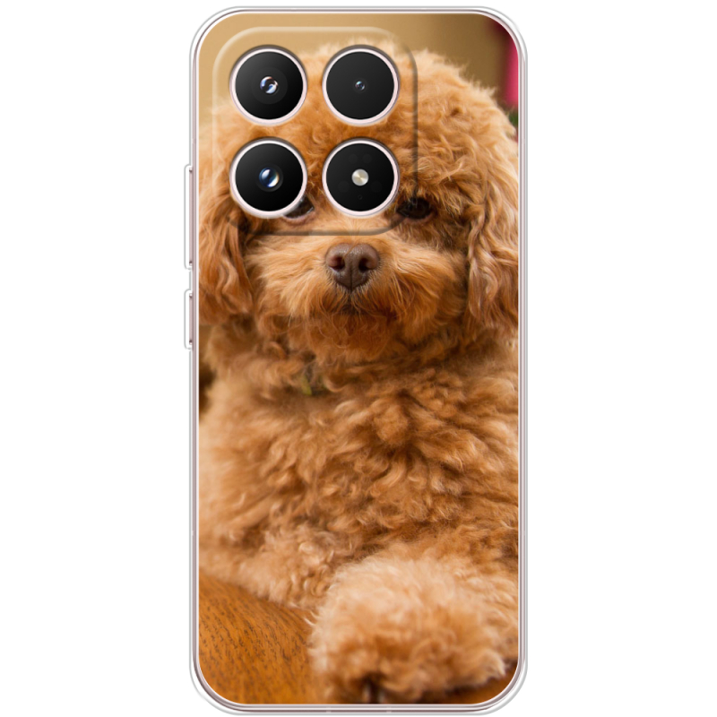 Чохол BoxFace Xiaomi 17 