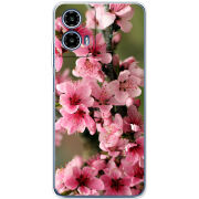 Чохол BoxFace Motorola Moto G35 Вишневые Цветы