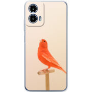 Чохол BoxFace Motorola Moto G35 