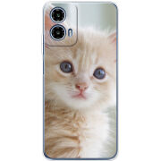 Чохол BoxFace Motorola Moto G35 Animation Kittens