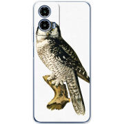 Чохол BoxFace Motorola Moto G35 