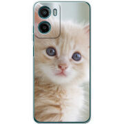 Чохол BoxFace Motorola G06 Power Animation Kittens