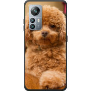 Чохол BoxFace Blackview A85 