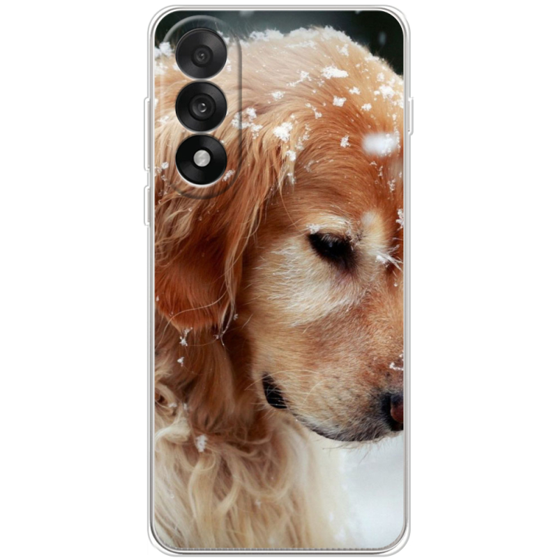 Чохол BoxFace OnePlus Nord 5 Golden Retriever