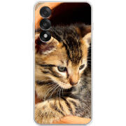 Чохол BoxFace OnePlus Nord 5 