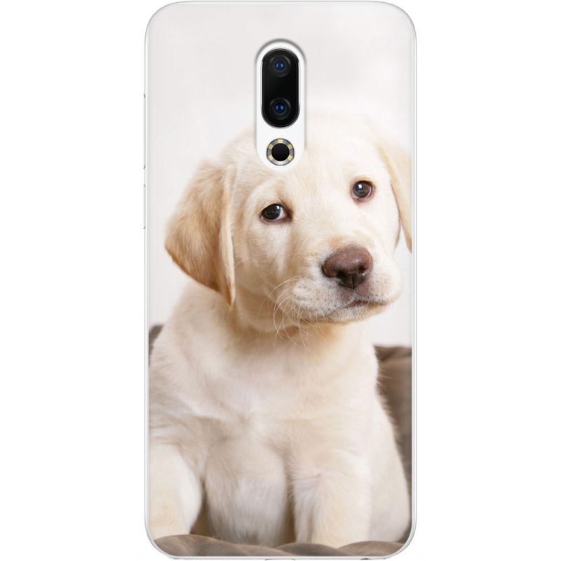 Чехол Uprint Meizu 16th Puppy Labrador