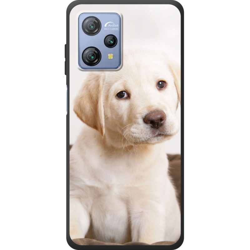 Чохол BoxFace Blackview A53 Puppy Labrador