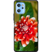 Чехол BoxFace Umidigi A13 / A13 Pro 