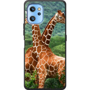 Чехол BoxFace Umidigi A13 / A13 Pro 