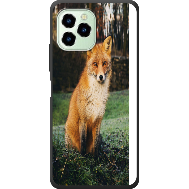 Чехол со стразами Oukitel C21 Pro 