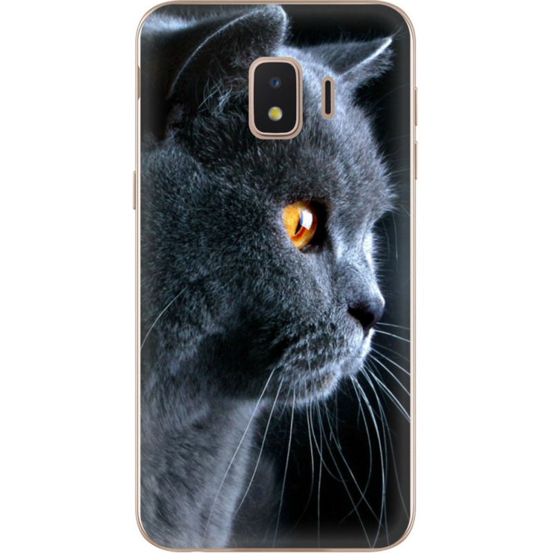 Чехол Uprint Samsung J260 Galaxy J2 Core English cat