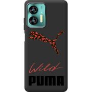 Прозрачный чехол BoxFace Oukitel C36 Wild Cat