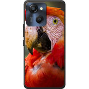 Чохол BoxFace Blackview Oscal Modern 8 