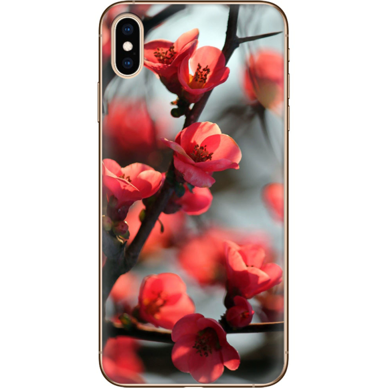 Чехол Uprint Apple iPhone XS Max Awakening Spring