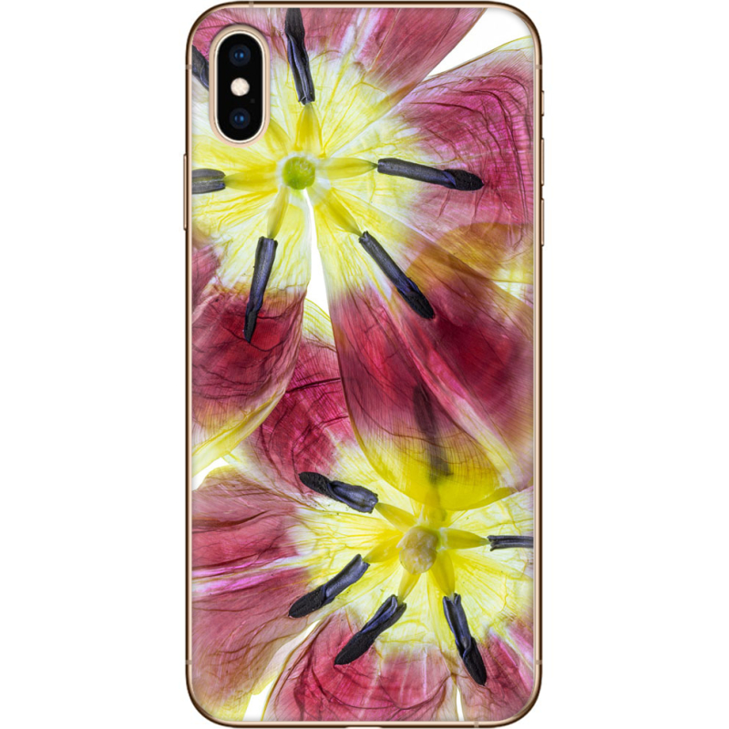 Чехол Uprint Apple iPhone XS Max 