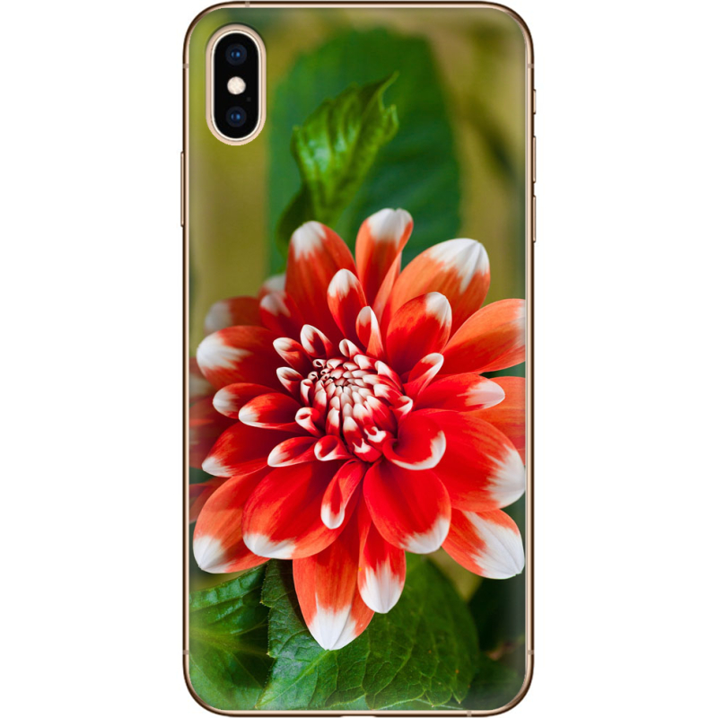 Чехол Uprint Apple iPhone XS Max 