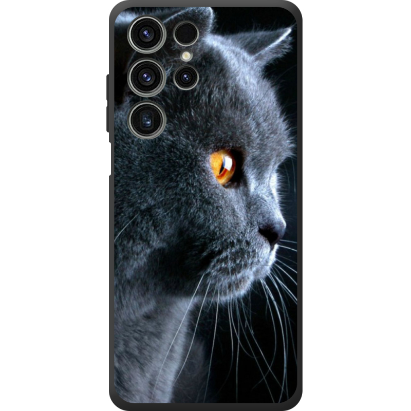 Чохол BoxFace Oukitel C1 English cat