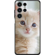 Чохол BoxFace Oukitel C1 Animation Kittens