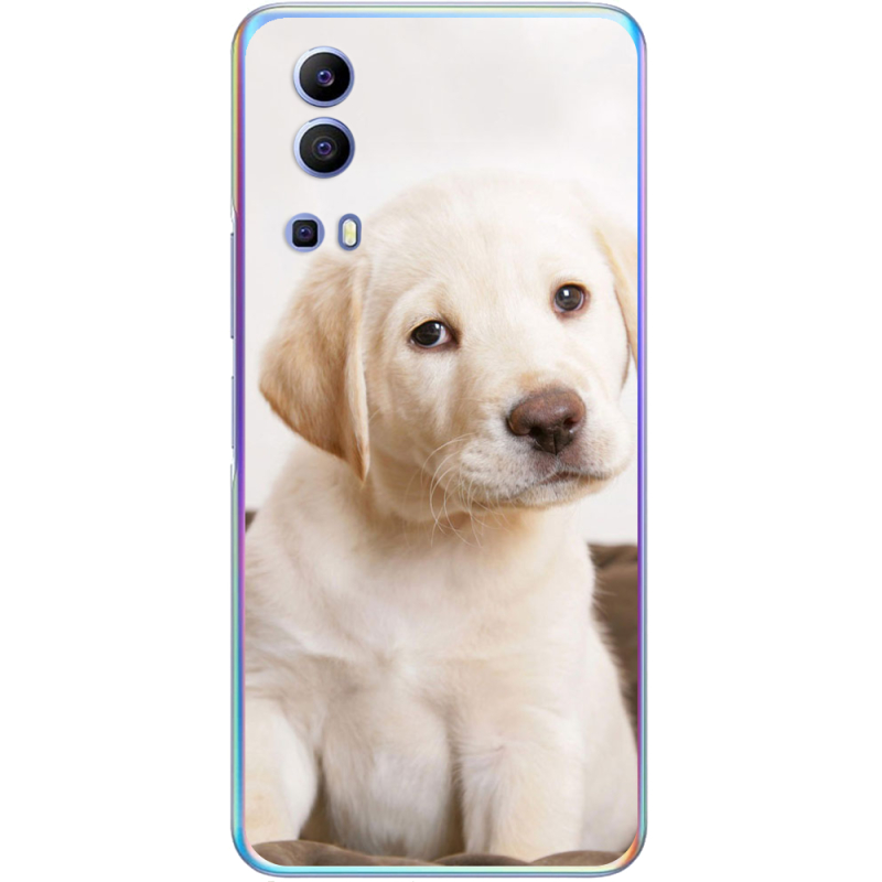 Чехол BoxFace Vivo Y72 5G Puppy Labrador