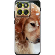 Чохол BoxFace Moto Edge 70 Golden Retriever