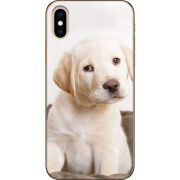 Чехол Uprint Apple iPhone XS Puppy Labrador