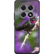 Чохол BoxFace Poco M8 