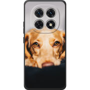 Чохол BoxFace Poco M8 