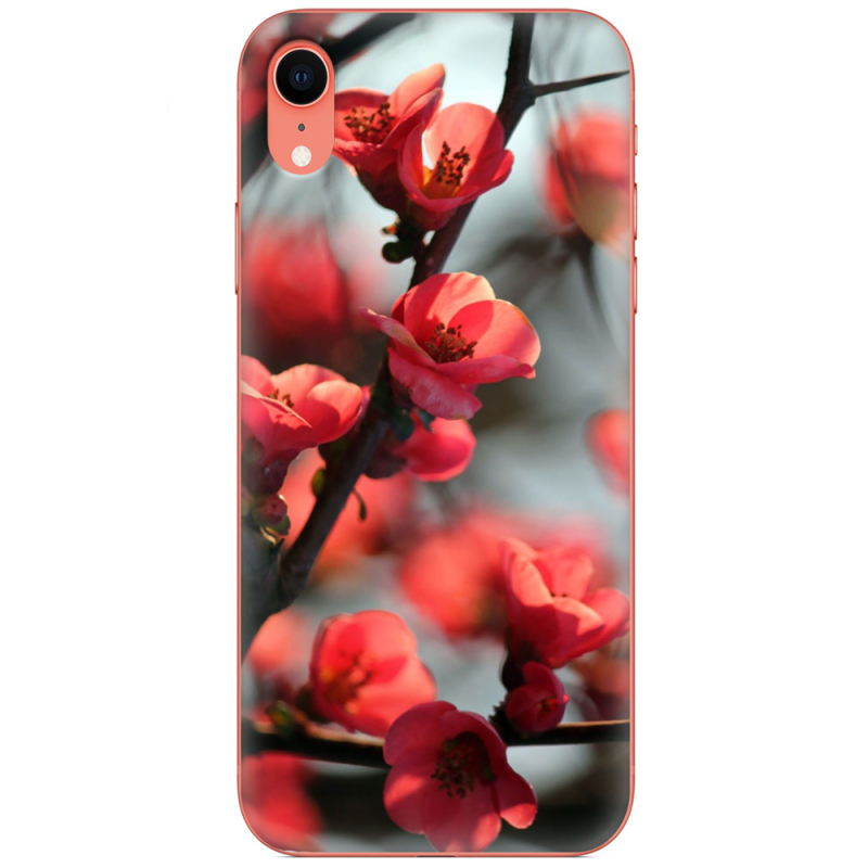 Чехол Uprint Apple iPhone XR Awakening Spring