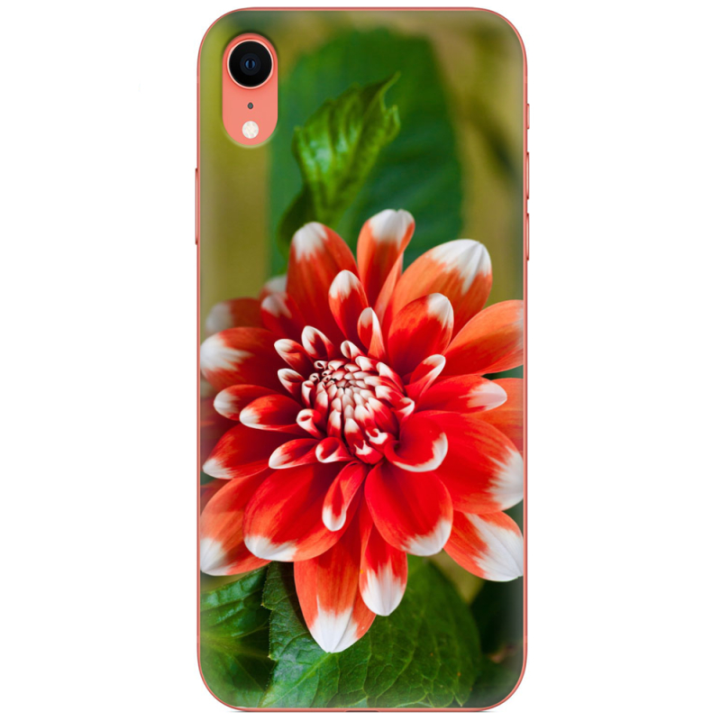 Чехол Uprint Apple iPhone XR 