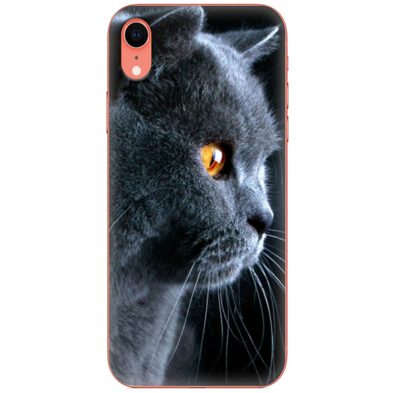 Чехол Uprint Apple iPhone XR English cat