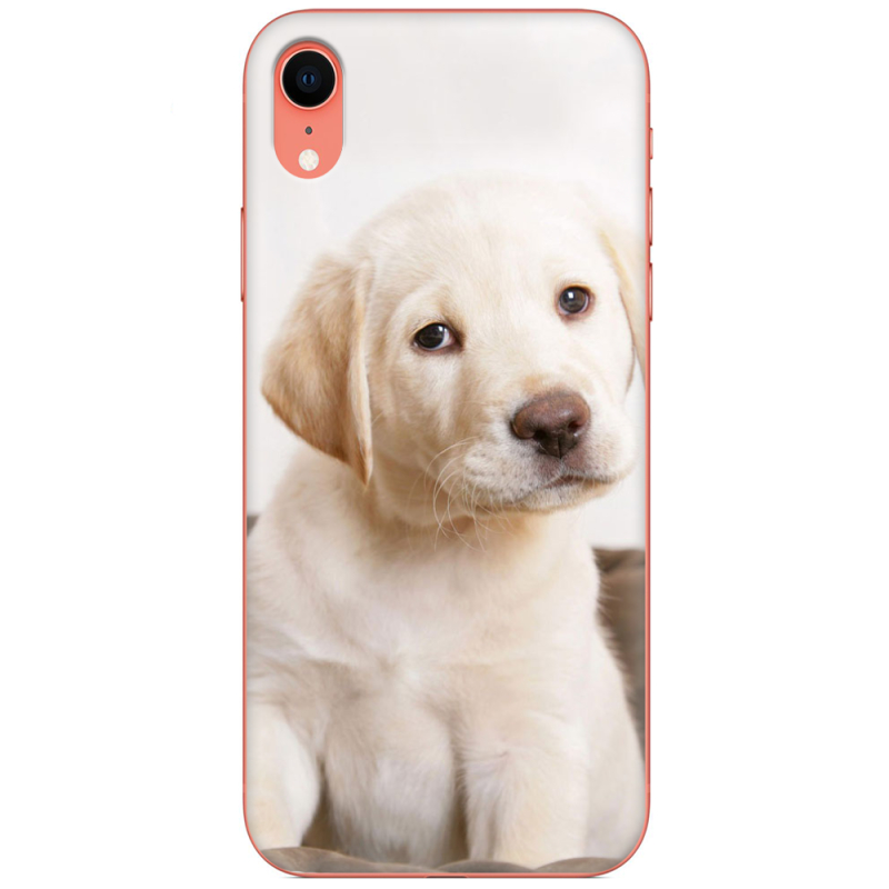 Чехол Uprint Apple iPhone XR Puppy Labrador