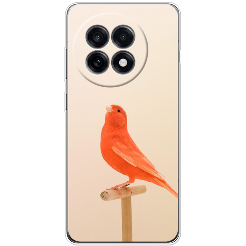 Чохол BoxFace OnePlus Ace 5 