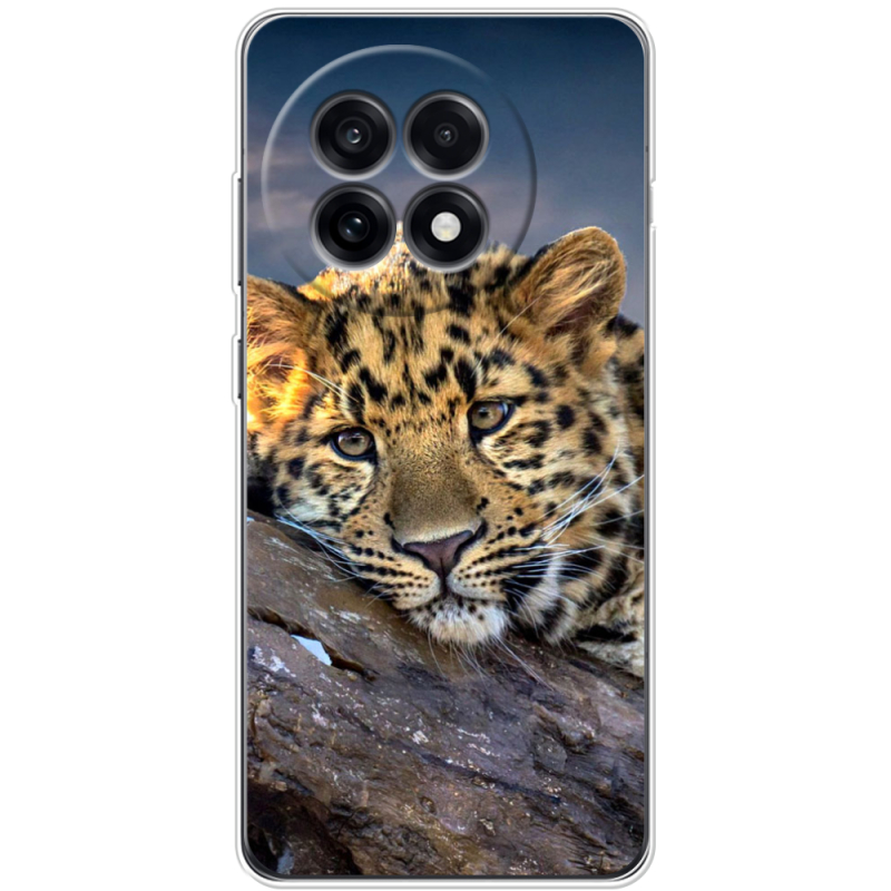 Чохол BoxFace OnePlus Ace 5 