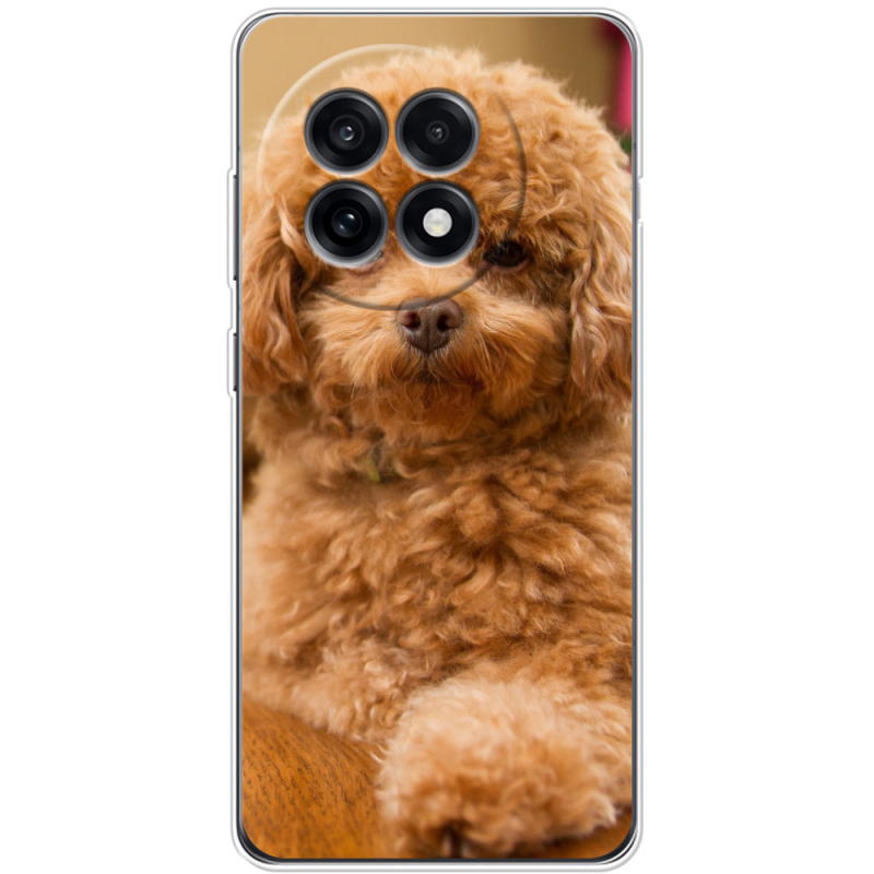 Чохол BoxFace OnePlus Ace 5 