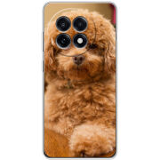 Чохол BoxFace OnePlus Ace 5 