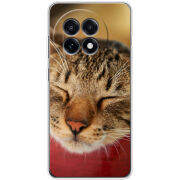 Чохол BoxFace OnePlus Ace 5 