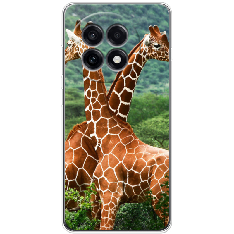 Чохол BoxFace OnePlus Ace 5 