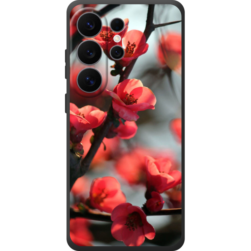 Чохол BoxFace Samsung Galaxy S26 Ultra (S948) Awakening Spring