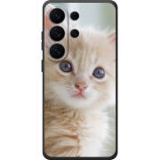 Чохол BoxFace Samsung Galaxy S26 Ultra (S948) Animation Kittens