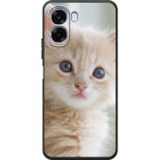 Чохол BoxFace OPPO A6x Animation Kittens
