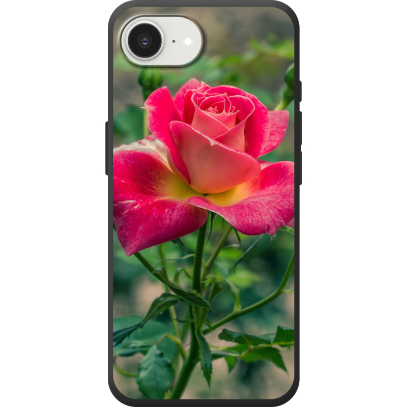 Чохол BoxFace Apple iPhone 17e 