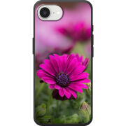 Чохол BoxFace Apple iPhone 17e 