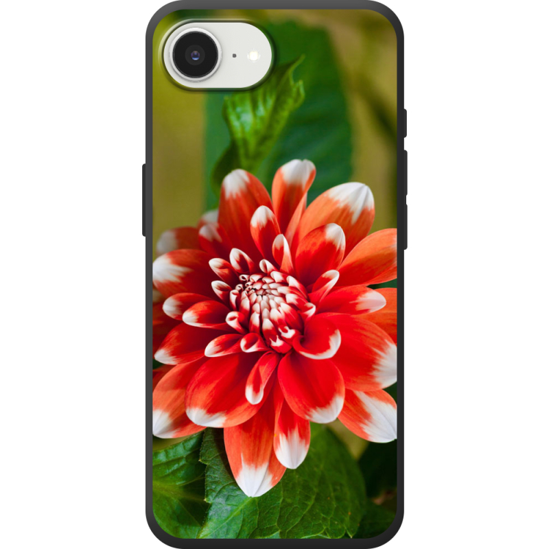 Чохол BoxFace Apple iPhone 17e 