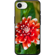 Чохол BoxFace Apple iPhone 17e 